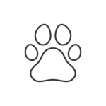 Paws Galore