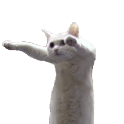 Scary cat Roblox decal