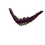 Accessory (aaasdAccessory)