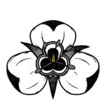 Mariposa Lily Organization