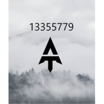 TeamAcademy