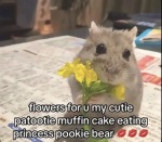 Club Pookie