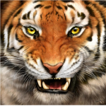 Tiger Motors