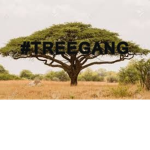 #TREEGANG