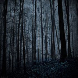 Survive the Forest