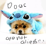 Pups are cute