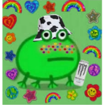 Indie frog mango