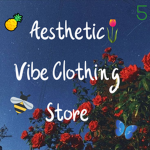 Aesthetic Vibe Clothing Store