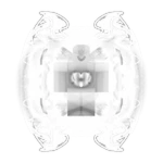 Light Bloxxer