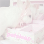 petsleep