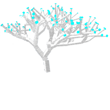 Christmas Wonderland!