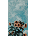 Aesthetics by Lara
