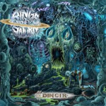 Rings Of Saturn