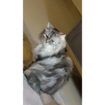 DdAaNn_1122
