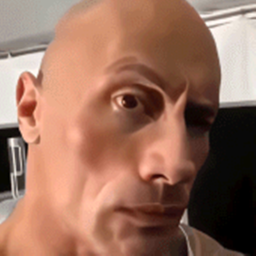 the rock