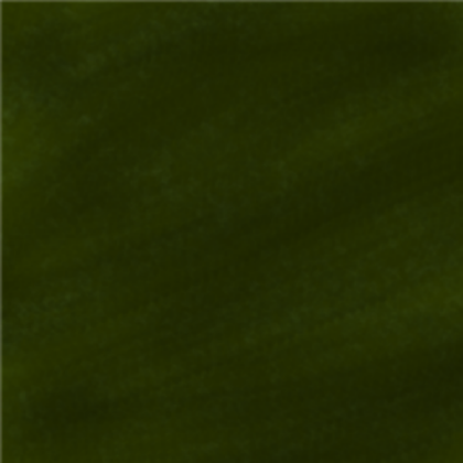 Dark Green Roblox decal