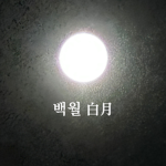 백월白月