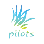 Air Sandora Pilots