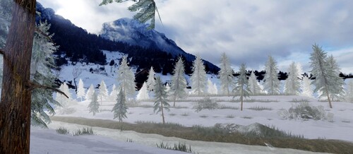 Snow Testing
