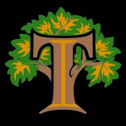 Tampa Trees Stadium