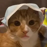 aquafy