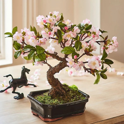 Cherry blossom
