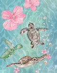 Ash’s Turtles