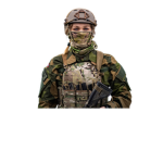 Norwegian Armed Forces /\ NAF