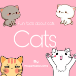 Facts about Cats !