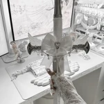The Midnight Veil Group Thumbnail