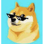 Dog to D0ge fan group