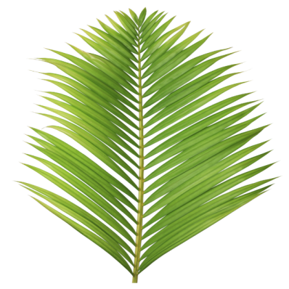 Palm Tree Leaves Roblox decal