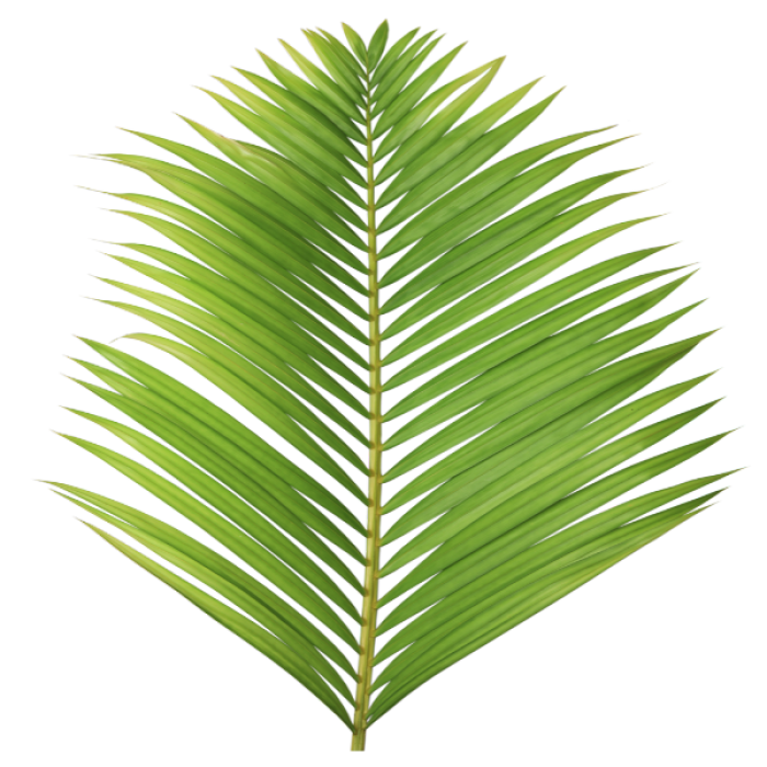 Palm Tree Leaves Roblox decal