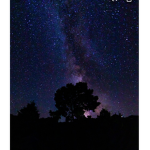 ~ NiGhT sTaRs ~