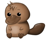 Platypus Team