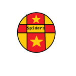 Black Spiders Sport team