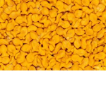 Goldfish Gang B)