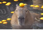 THE CAPYBARAS REVENGE