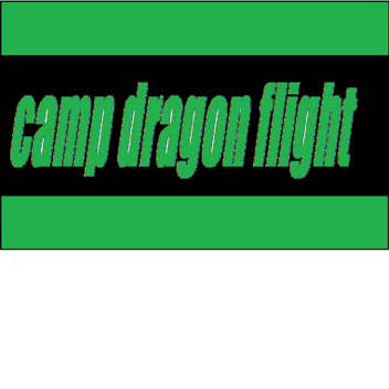 camp dragon flight (NEW SCHOOL)