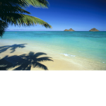 The beach clain