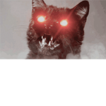 Bad Catz Family.