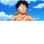 the anime army of one pice