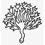 Serpents Hand Agency