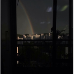 aesthetic feelingss