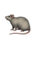 Slay_ratbaddies
