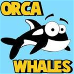 ORCA WHALES!
