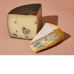 Moldy cheese awesome