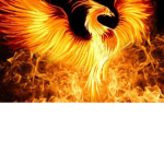 ImmortalPhoenixes