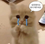자라 부대 v2