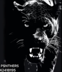 P$NTHERS